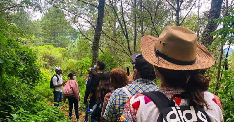 From Oaxaca: Hierve El Agua, Mitla, Tule Tree & Mezcal Tour - Tour Highlights