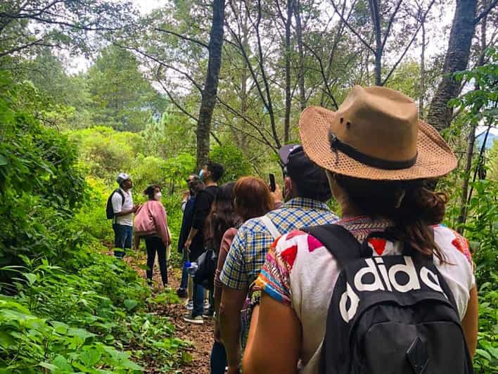 From Oaxaca: Hierve El Agua, Mitla, Tule Tree & Mezcal Tour - Inclusions and Exclusions