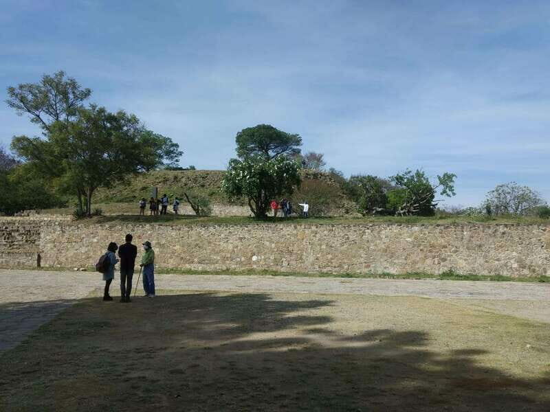 From Oaxaca: Monte Albán and Art Craft Towns Day Trip - Who Will Love This Tour?