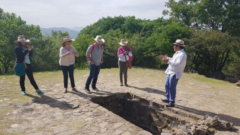 From Oaxaca: Monte Albán and Art Craft Towns Day Trip - Customer Reviews and Ratings