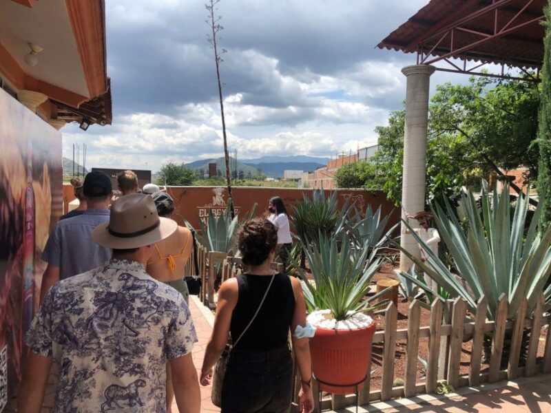 From Oaxaca: Natural and Cultural Highlights Guided Day Tour - Itinerary Details