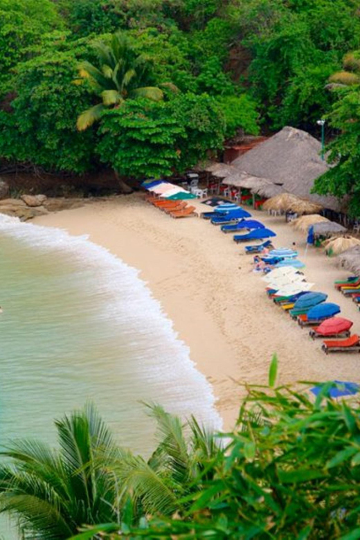From Oaxaca: One Day in Puerto Escondido - Transportation and Guide