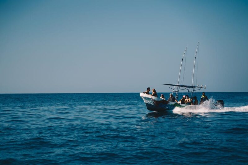 From Oaxaca: One Day in Puerto Escondido - Included and Excluded
