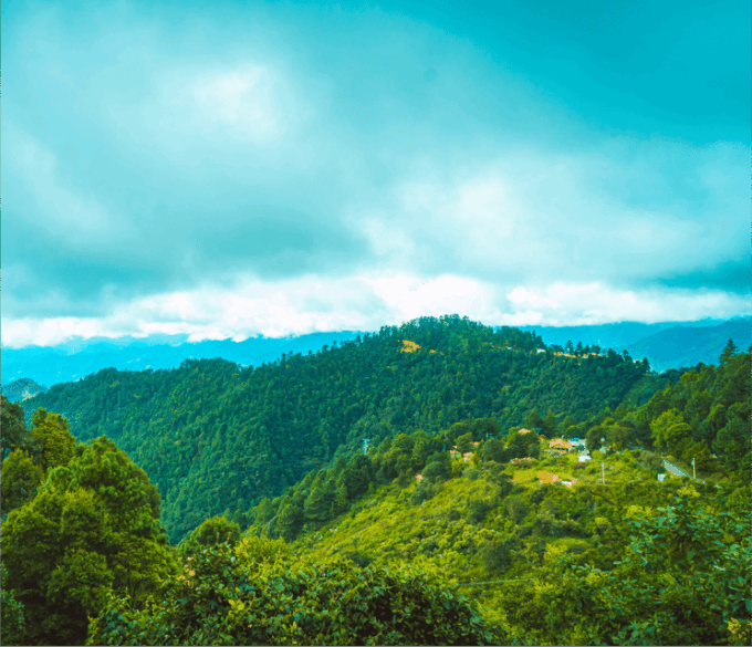 From Oaxaca One Way Shared Transfer to San Jose Del Pacifico - Frequently Asked Questions
