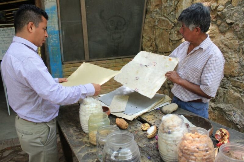 From Oaxaca: San Agustín Etla Quesillo and Papermaking Tour - Transportation and Amenities