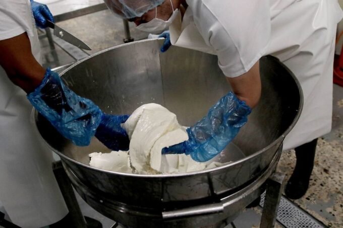 From Oaxaca: San Agustín Etla Quesillo and Papermaking Tour - Frequently Asked Questions
