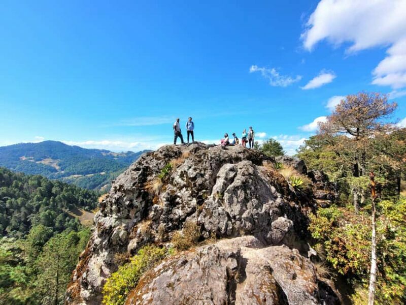 From Oaxaca: Sierra Norte Hike & Indigenous Village Full-Day - Authenticity and Review Highlights