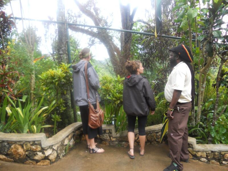 From Ocho Rios: Bob Marley & Dunn's River Falls 6/7Hour Tour - Tour Duration and Inclusions