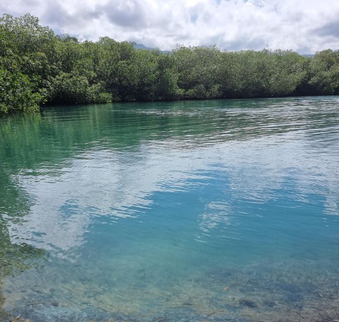 From Ocho Rios: Chukka ATV Safari Adventure - Customer Reviews