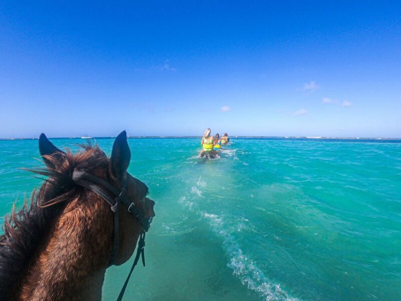 From Ocho Rios: Chukka Horseback Ride and Swim - Itinerary and Transportation