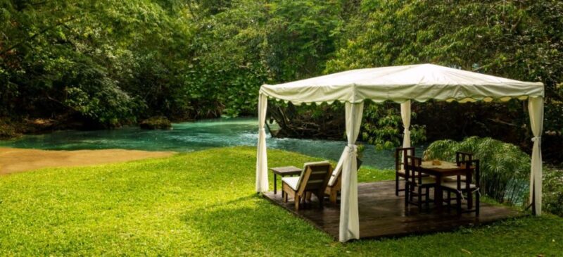 From Ocho Rios: Dunn's River Falls & Reggae Hill Tour - Key Points