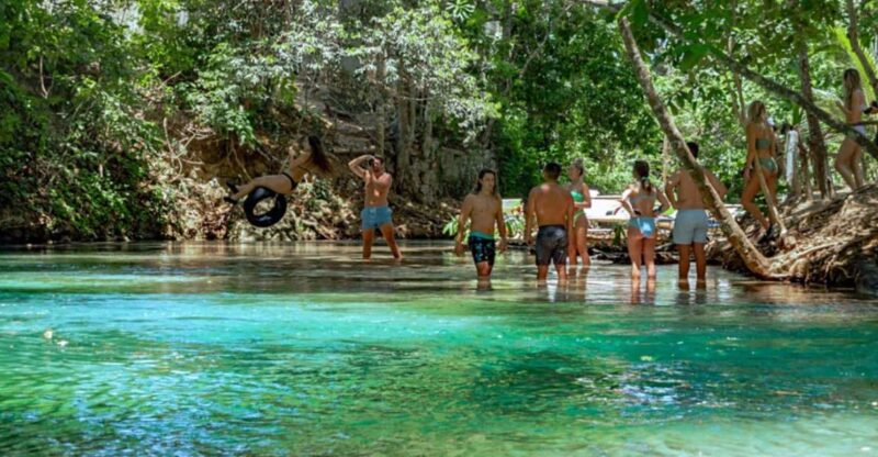 From Ocho Rios: Dunn's River Falls & Reggae Hill Tour - What to Bring and Important Information