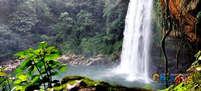 From Ocosingo: Agua Azul and Misol-ha Private Tour - Cancellation and Payment Policy