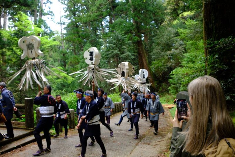 From Odawara: Forest Bathing and Hot Springs With Healing Power - Key Points