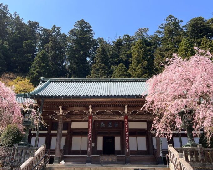From Odawara: Forest Bathing and Hot Springs With Healing Power - Exploring 500-year-old Cedar Forest
