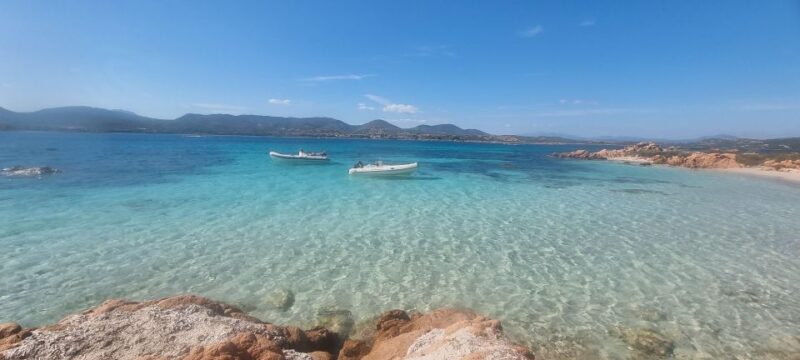 From Olbia: Boat Tour to Tavolara and Molara With Aperitif - Key Points
