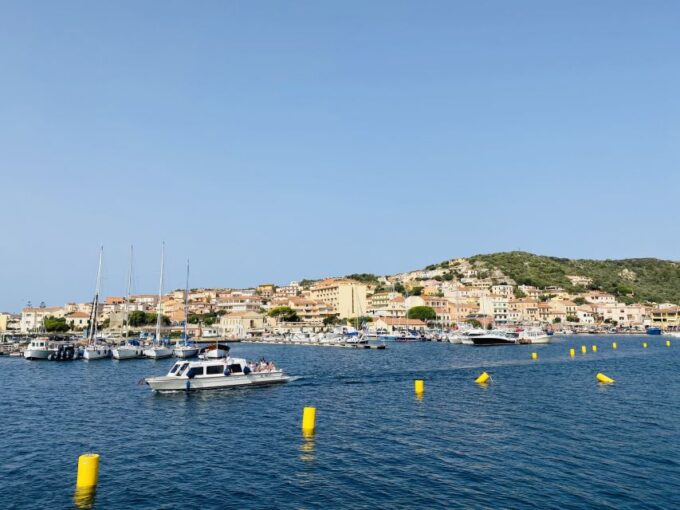 From Olbia: Full-Day Boat Tour to the Maddalena Archipelago - Customer Reviews