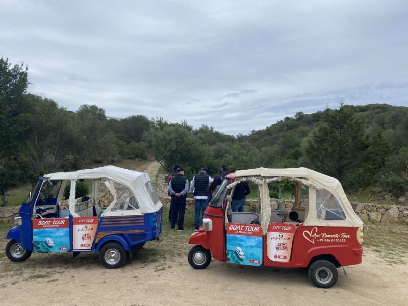 From Olbia: Sardinia Archaeological Tour - Key Points