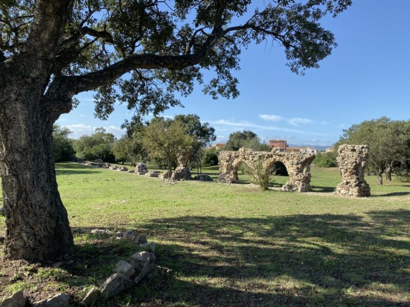 From Olbia: Sardinia Archaeological Tour - Itinerary Highlights