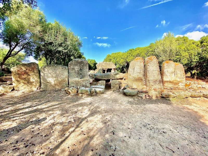 From Olbia: Sardinia Archaeological Tour - Historical Significance