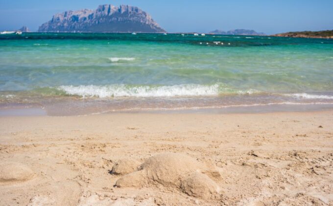 From Olbia: Tour to Tavolara With Lunch, Beaches, & Aperitif - Important Information and Accessibility