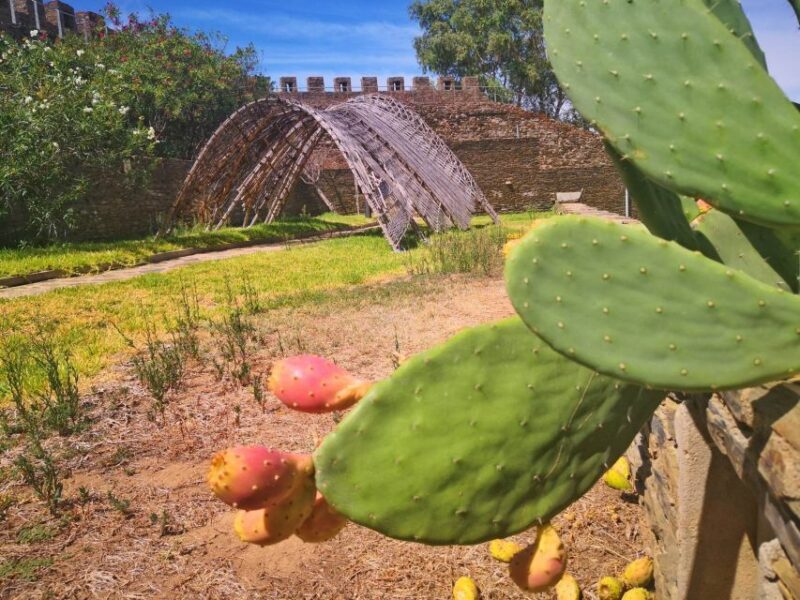 From Olhão: Alcoutim Village Trip With Boat Ride and Castle - Itinerary Details