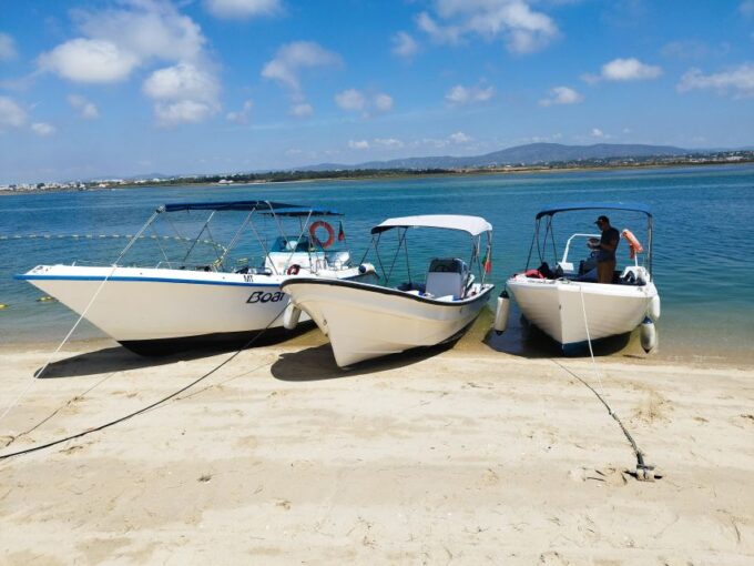 From Olhão: Ria Formosa 3-Island Full-Day Tour - Ilha Do Farol