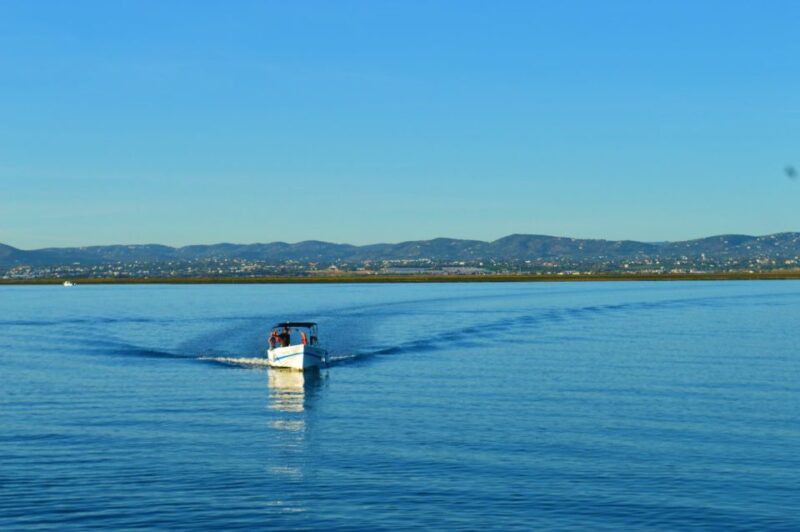 From Olhão: Ria Formosa 3-Island Full-Day Tour With Sunset - Customer Reviews