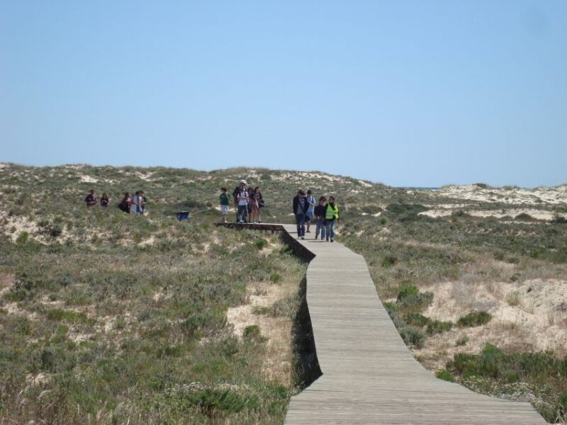 From Olhão: Ria Formosa & Culatra Island 3.5-Hour Boat Trip - Highlights and Activities