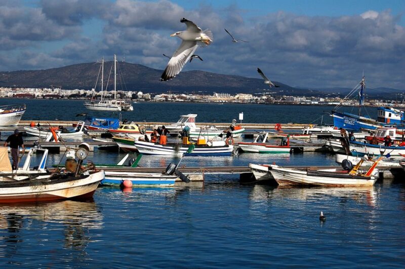 From Olhão: Ria Formosa & Culatra Island 3.5-Hour Boat Trip - Inclusions and Amenities