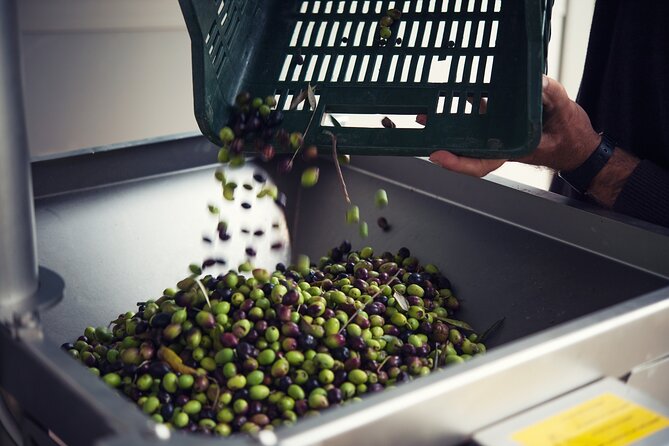 From Olives to Oil: Tasting With Lunch or Dinner - Dining Experience