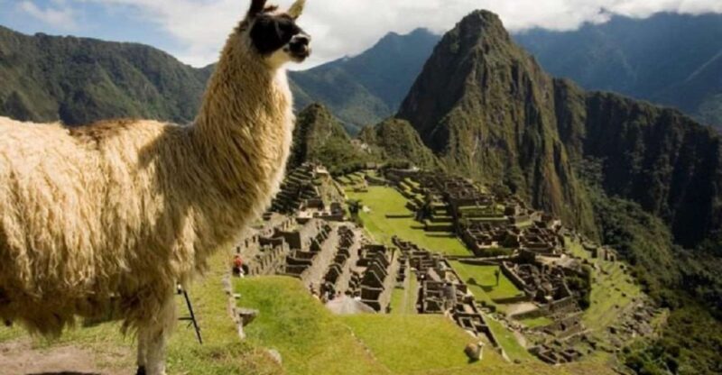 From Ollantaytambo: 2-day Machu Picchu Tour - Machu Picchu Details