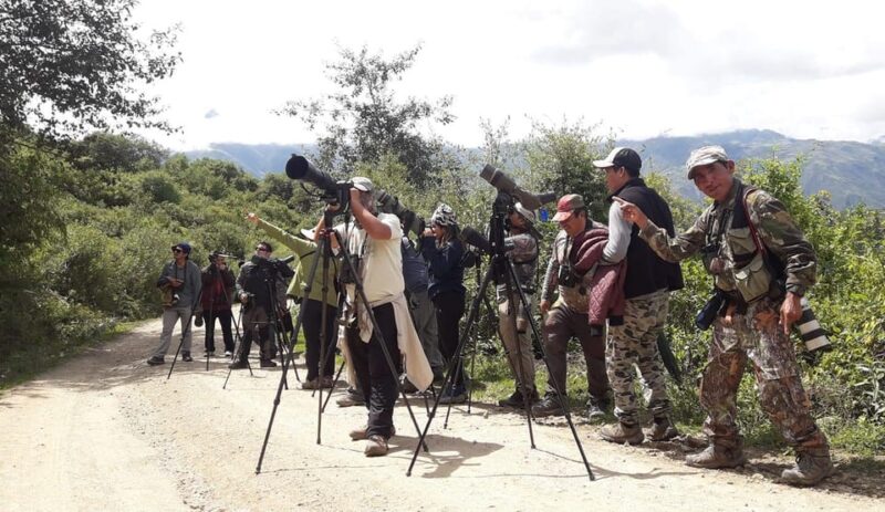 From Ollantaytambo: Machu Picchu Birding Private Tour - Itinerary Details