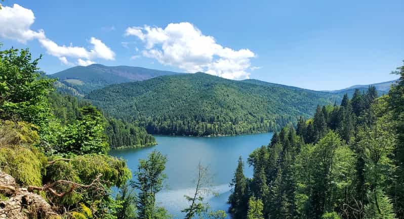 From Oradea: Mountain Bike Around Lake Dragan - Key Points