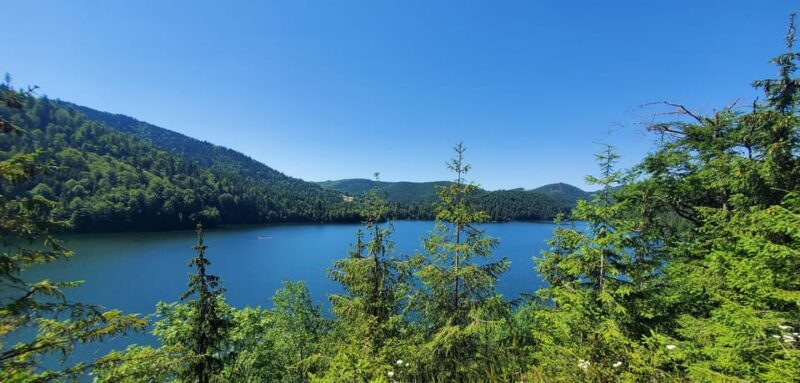 From Oradea: Mountain Bike Around Lake Dragan - Highlights