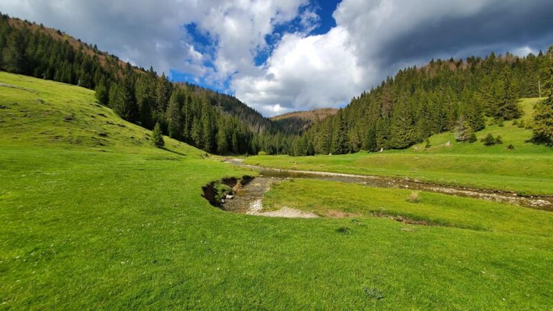 From Oradea:Carpathian Mountains Guided Scenic Hike - Key Points