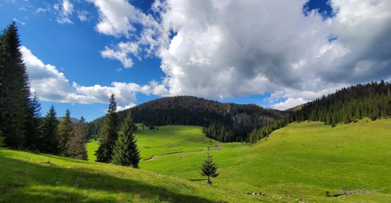 From Oradea:Carpathian Mountains Guided Scenic Hike - Itinerary and Route Details