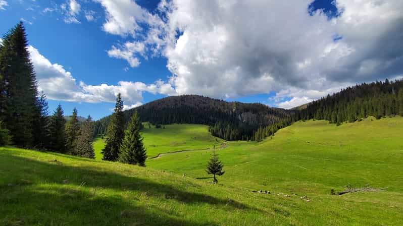 From Oradea:Carpathian Mountains Guided Scenic Hike - Inclusions and Local Experiences