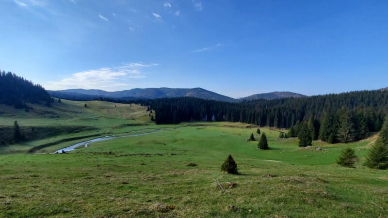 From Oradea:Carpathian Mountains Guided Scenic Hike - Suitability Guidelines