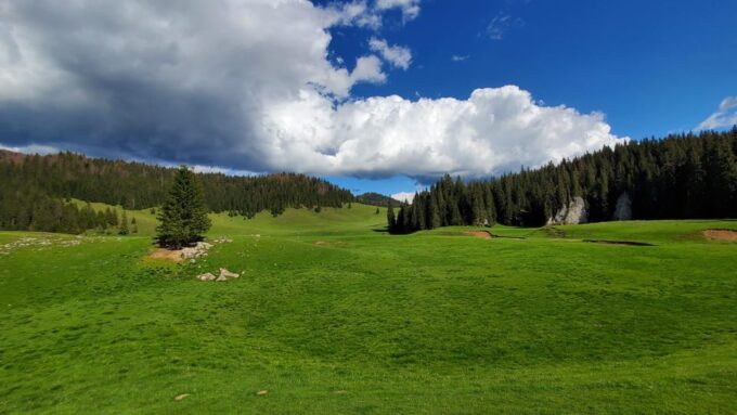 From Oradea:Carpathian Mountains Guided Scenic Hike - Prohibited Items