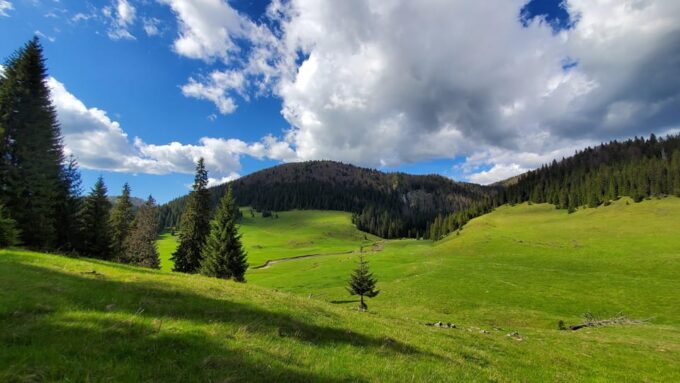 From Oradea:Carpathian Mountains Guided Scenic Hike - Booking and Flexibility