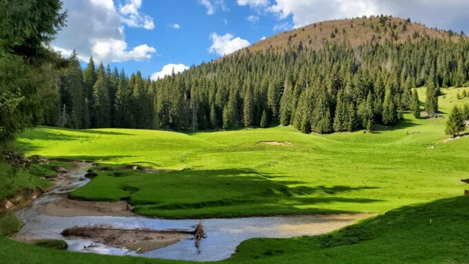From Oradea:Carpathian Mountains Guided Scenic Hike - Pickup and Drop-off Locations