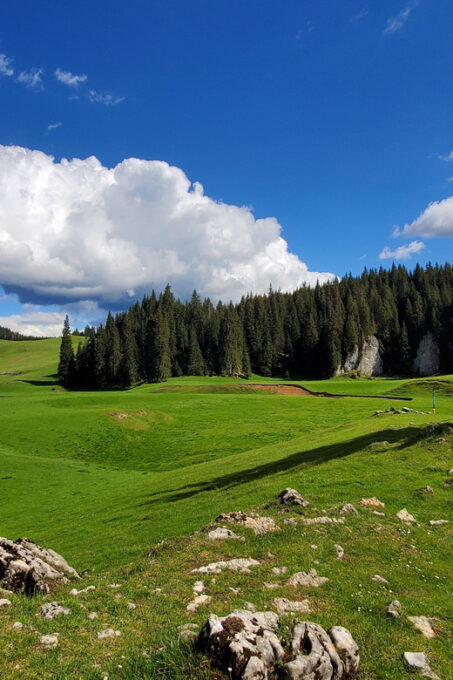 From Oradea:Carpathian Mountains Guided Scenic Hike - Frequently Asked Questions