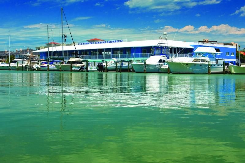 From Orlando: Clearwater Beach and Marine Aquarium Admission - Transportation and Pickup