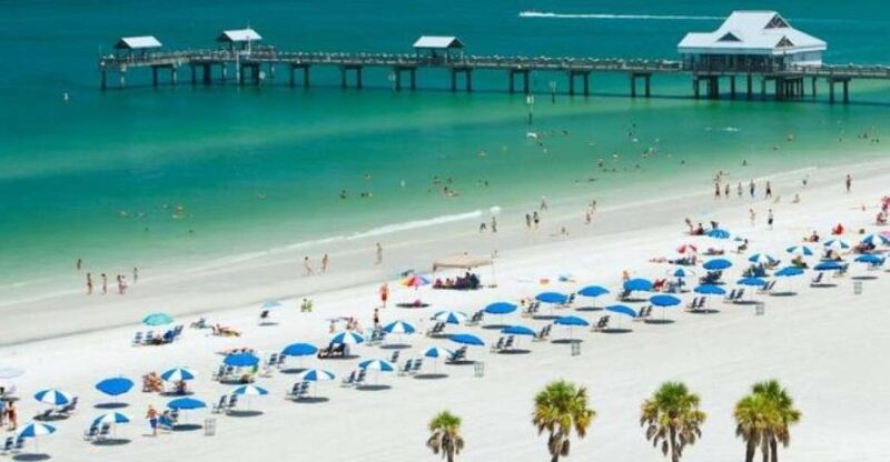 From Orlando: Clearwater Beach and Marine Aquarium Admission - Customer Feedback