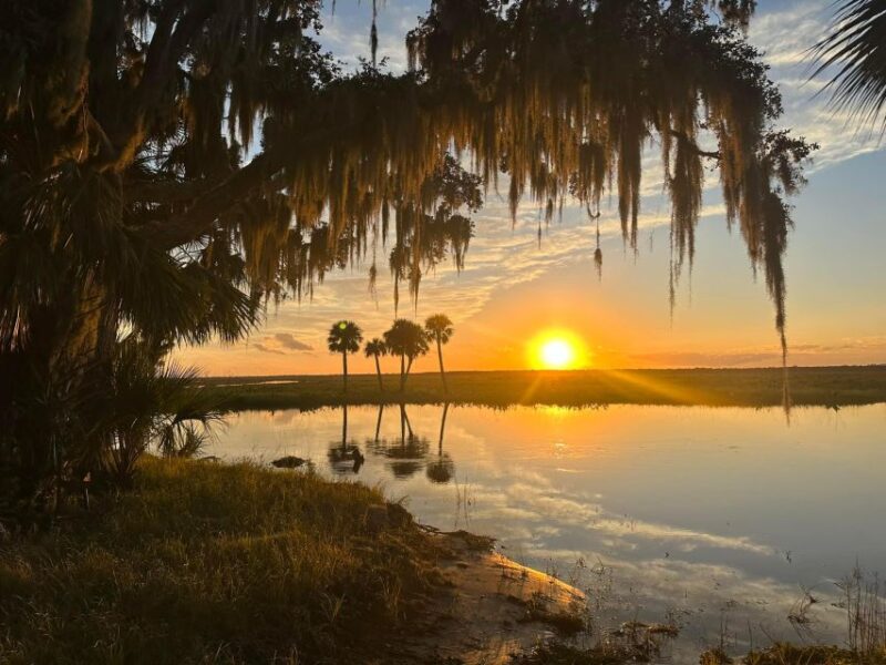 From Orlando: Kayaking the Econlockhatchee River With Lunch - Experience Highlights