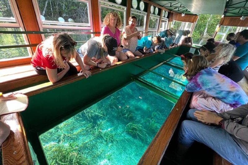 From Orlando: Silver Springs Park and Glass Bottom Boat Tour - Glass-Bottom Boat Ride