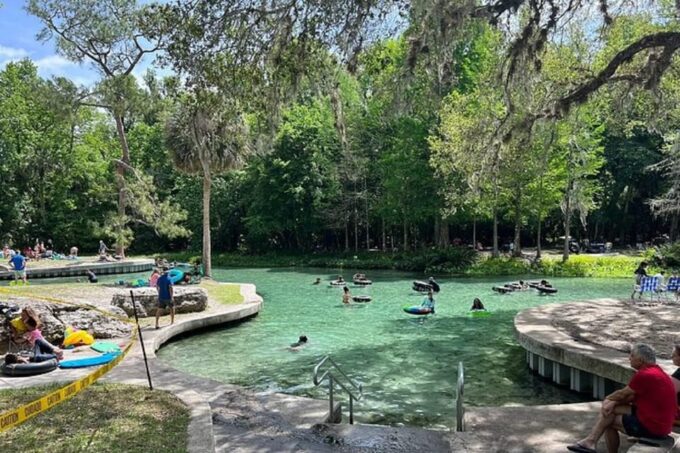 From Orlando: Silver Springs Park and Glass Bottom Boat Tour - Important Considerations