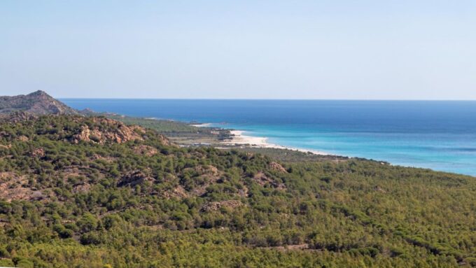 From Orosei: 4x4 Private Tour to Biderosa and Capo Comino - Visit Capo Comino Beach