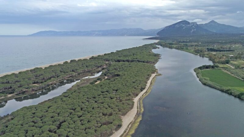 From Orosei: Archaeology, Wine Tasting & Landscapes Tour - Food and Wine Tasting